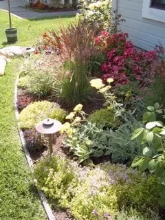 Affordable outdoor landscaping in Alameda, CA by Cheryl Hawkins Landscaping