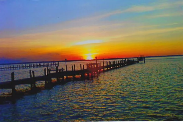 chesapeake bay landscaping Logo