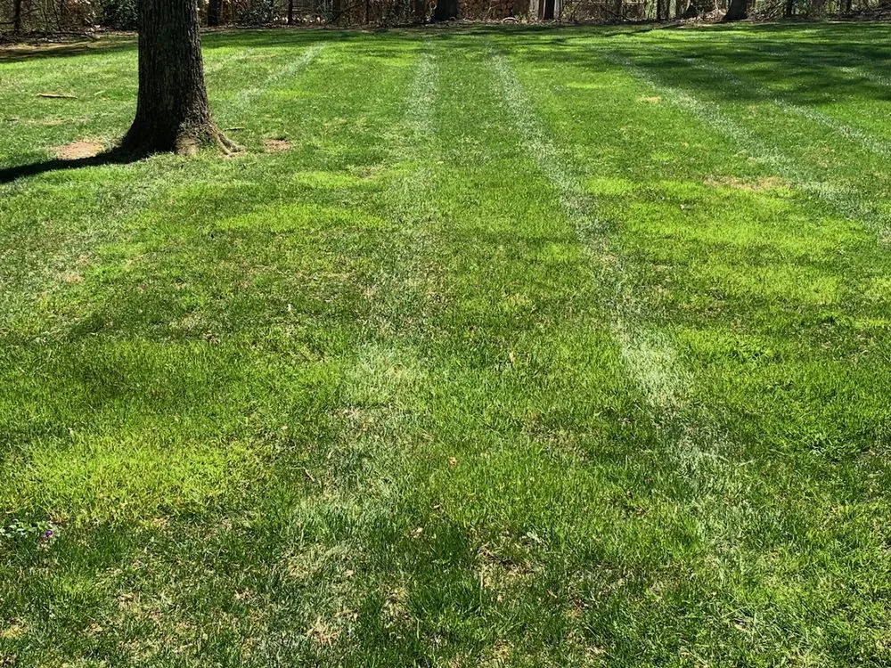 Professional garden landscaping with custom design across Jarrettsville, MD - Chesapeake Landscapes