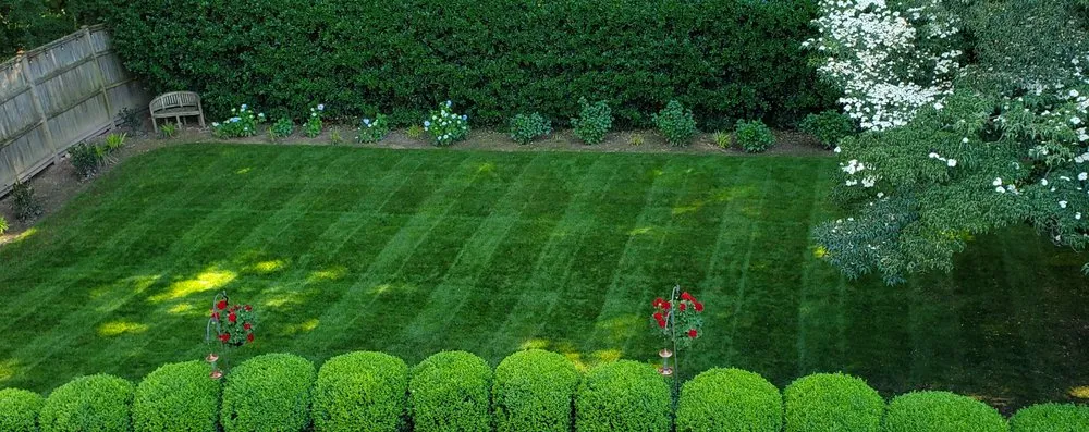 Affordable lawn care service experts serving Silver Spring, MD - Chesapeake Lawn Science