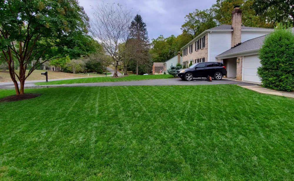 Affordable lawn care service experts serving Silver Spring, MD - Chesapeake Lawn Science