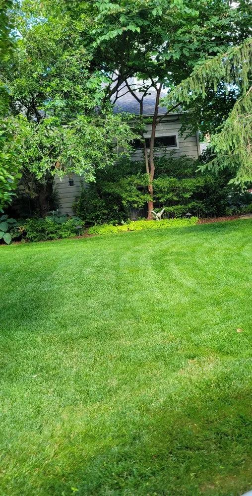 Custom yard cleanup service experts serving Silver Spring, MD - Chesapeake Lawn Science