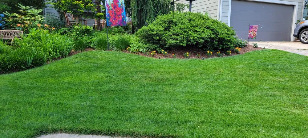 Trusted lawn mowing service in Silver Spring, MD - Chesapeake Lawn Science