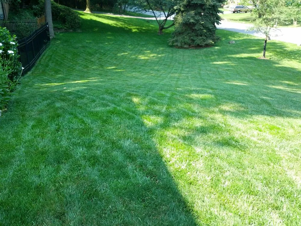 Professional yard cleanup service in Silver Spring, MD - Chesapeake Lawn Science