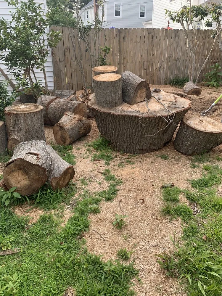 Professional yard maintenance for homes in Yorktown, VA by Chesbay Landscaping