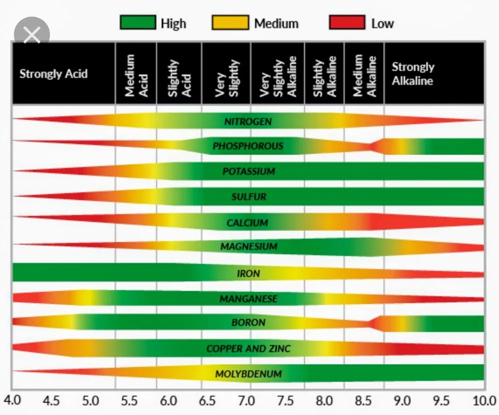 Custom outdoor landscaping in Yorktown, VA by Chesbay Landscaping