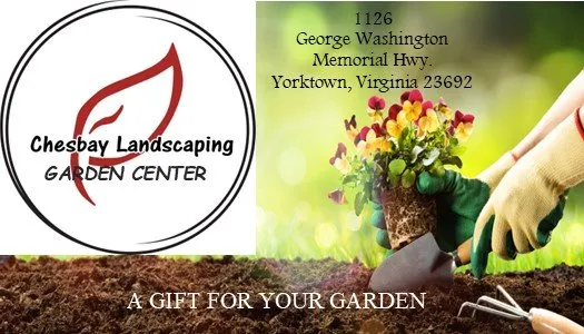 Trusted landscaping services experts serving Yorktown, VA - Chesbay Landscaping