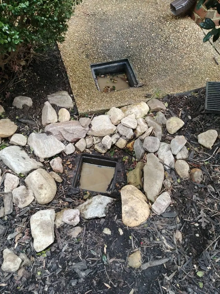 Expert yard cleanup service in Yorktown, VA by Chesbay Landscaping