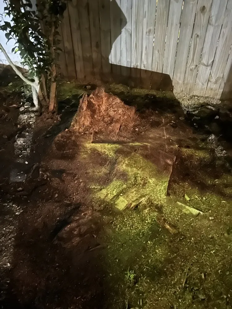 Reliable landscape design in Yorktown, VA by Chesbay Landscaping