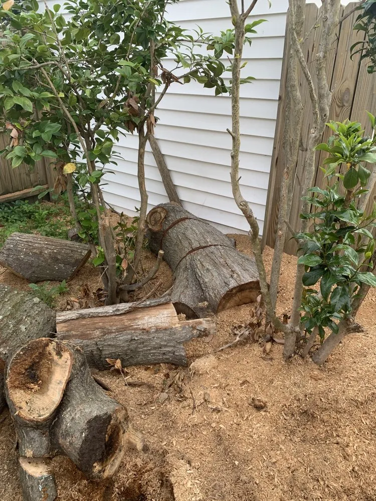 Professional lawn mowing service for beautiful yards across Yorktown, VA - Chesbay Landscaping