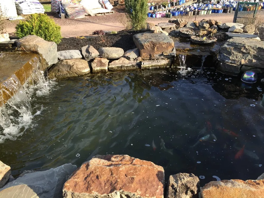 Professional yard cleanup service with custom design in Pottstown, PA by Chesco Landscaping