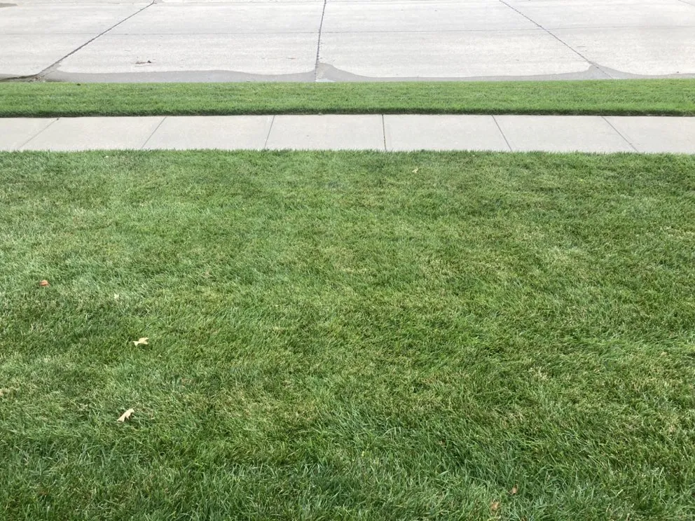 Affordable yard maintenance in Omaha, NE - Chesire Mow And Snow