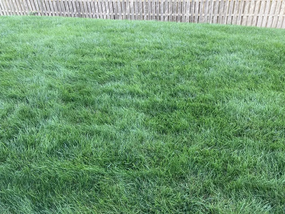 Custom yard maintenance with custom design across Omaha, NE - Chesire Mow And Snow