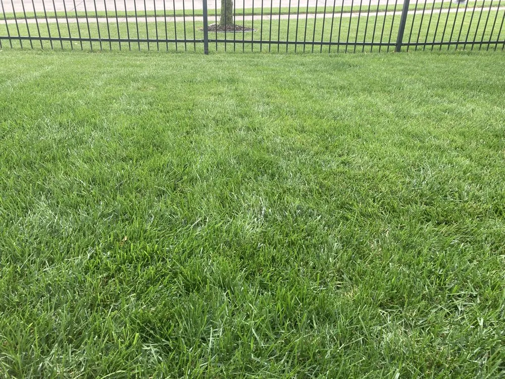 Professional landscape design for outdoor upgrades across Omaha, NE - Chesire Mow And Snow