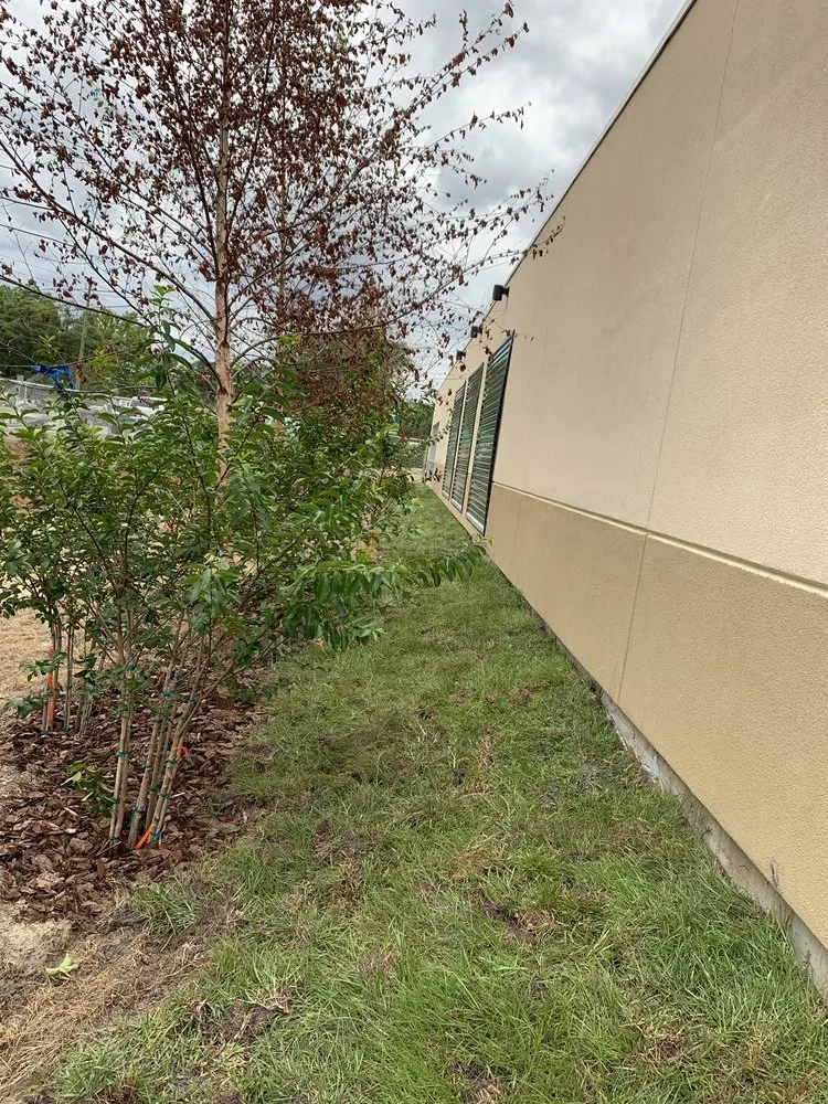 Local landscape installation near you across Lady Lake, FL - Chessari Sod Services And Landscape