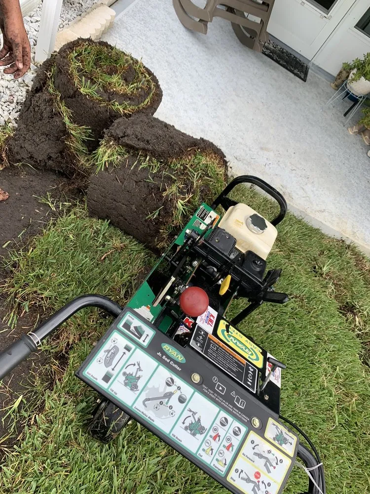 Affordable landscaping services in Lady Lake, FL - Chessari Sod Services And Landscape