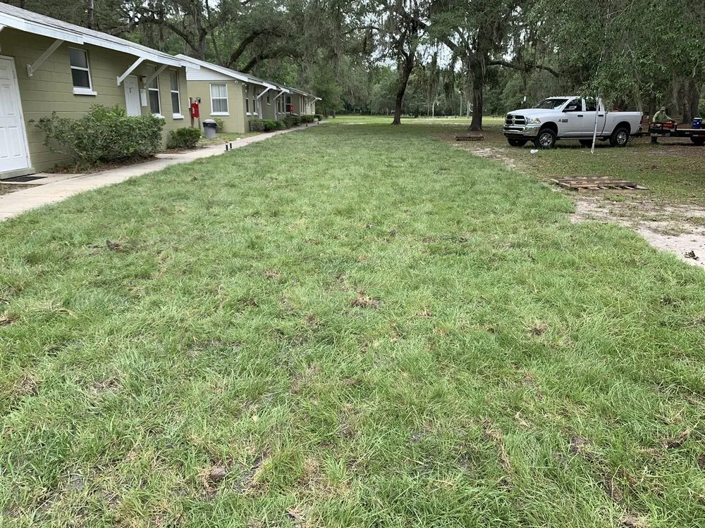 Affordable outdoor landscaping in Lady Lake, FL - Chessari Sod Services And Landscape