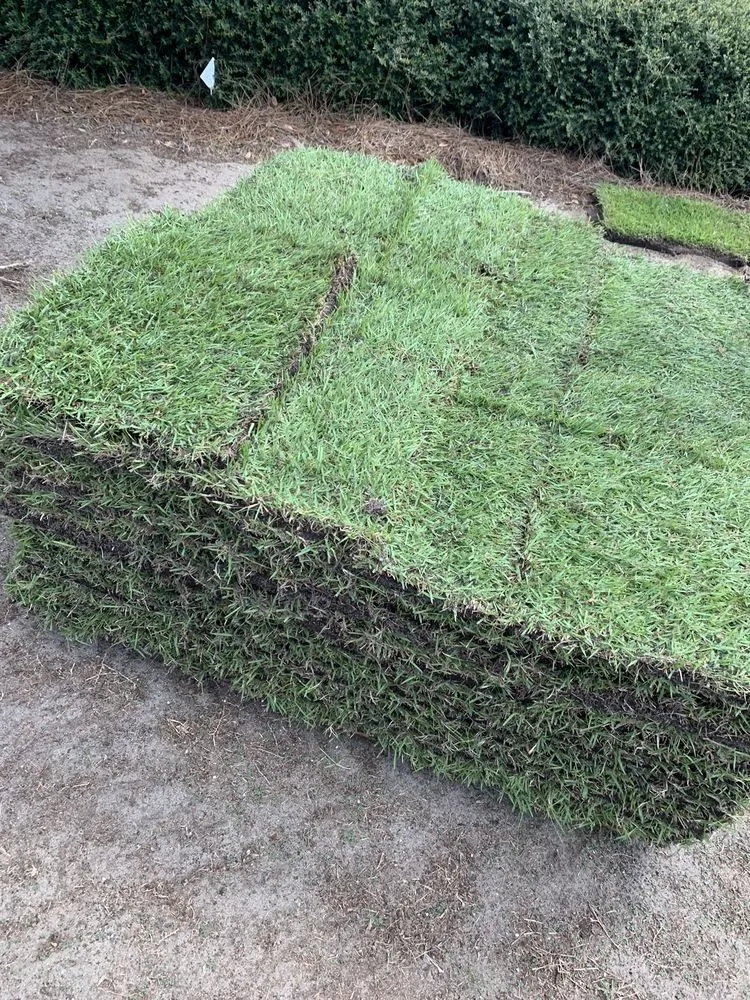 Local lawn mowing service in Lady Lake, FL by Chessari Sod Services And Landscape