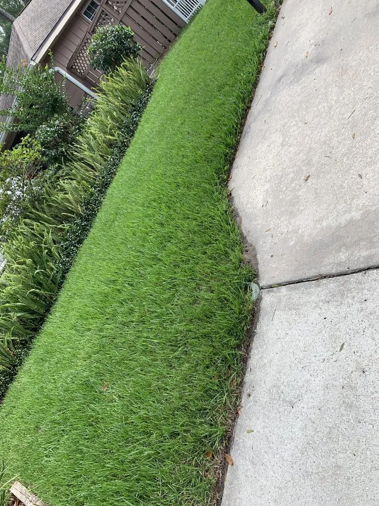 Trusted lawn mowing service with custom design in Lady Lake, FL by Chessari Sod Services And Landscape