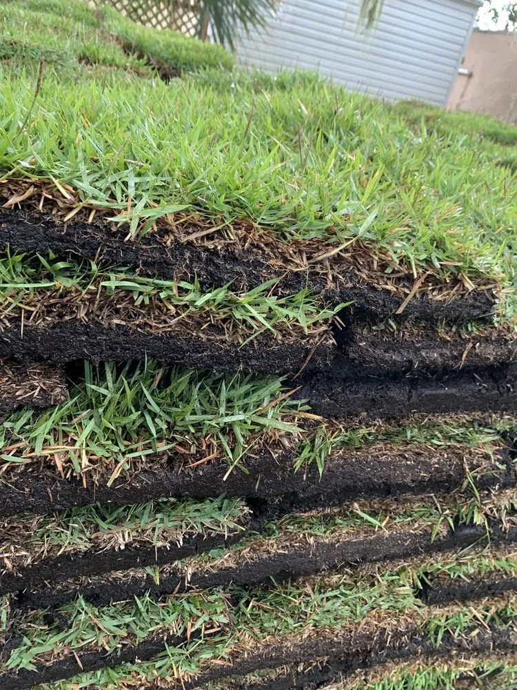 Custom outdoor landscaping in Lady Lake, FL by Chessari Sod Services And Landscape