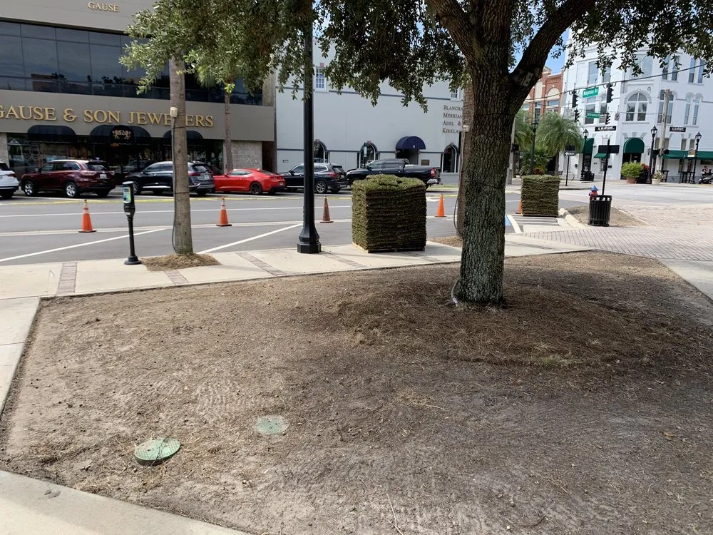 Local residential landscaping in Lady Lake, FL - Chessari Sod Services And Landscape