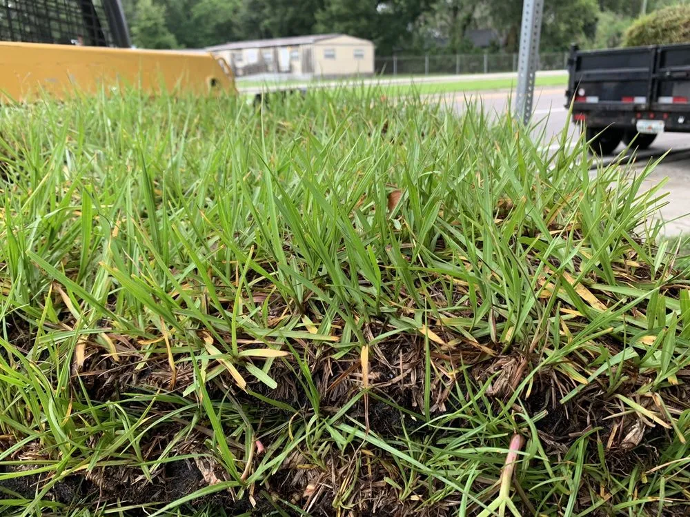 Trusted landscape design in Lady Lake, FL - Chessari Sod Services And Landscape