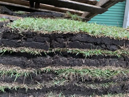 Chessari Sod Services And Landscape