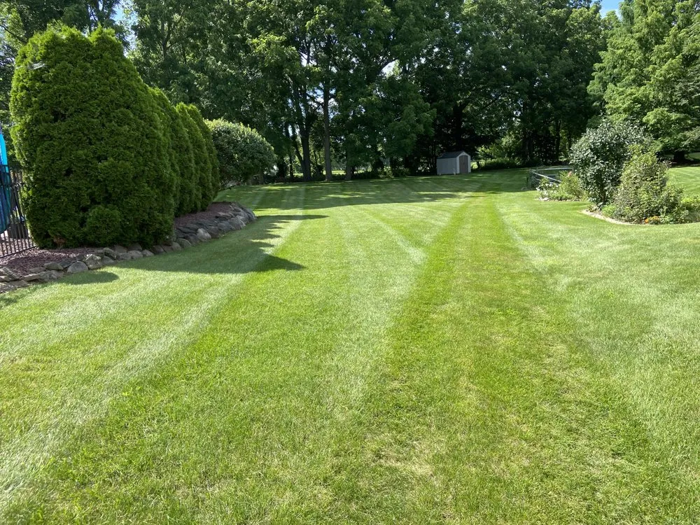 Professional lawn care service with custom design in Camp Hill, PA by Chester Gardening