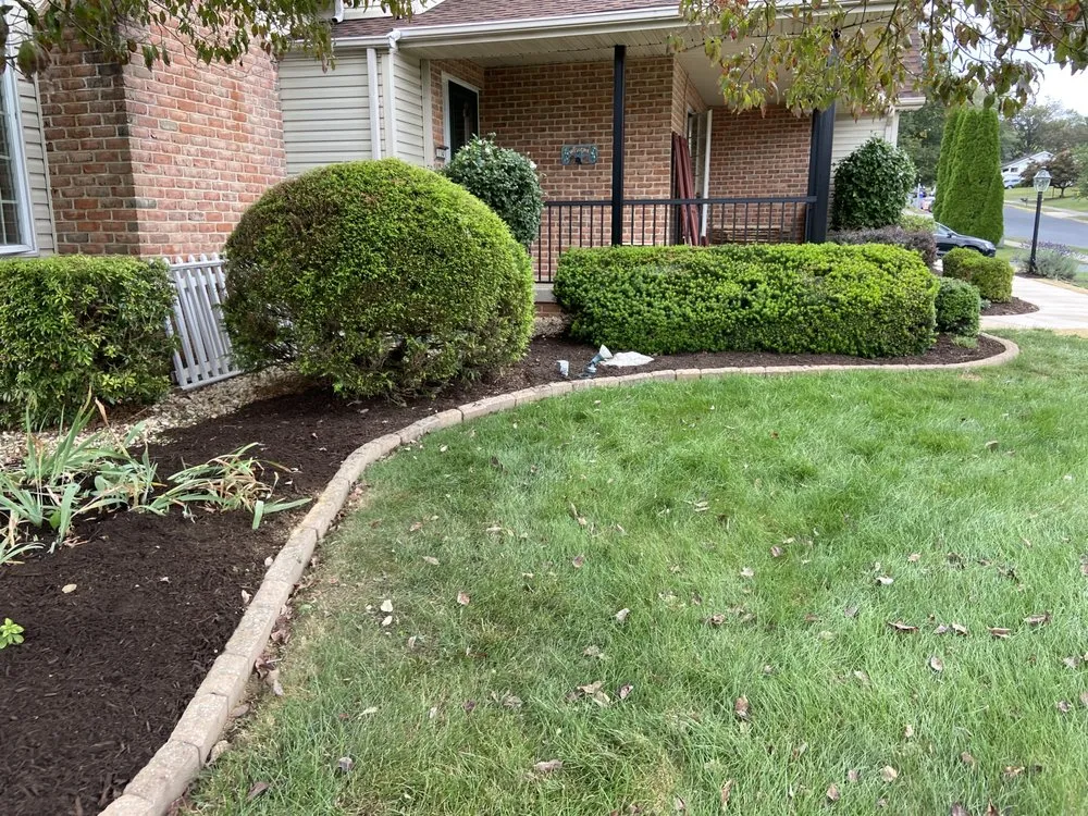 Reliable residential landscaping in Camp Hill, PA by Chester Gardening