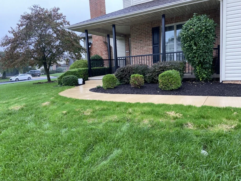 Trusted yard cleanup service experts serving Camp Hill, PA - Chester Gardening