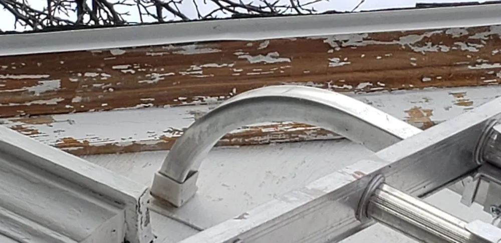 Top-rated landscape design for beautiful yards across Chester, MD - Chester Landscaping and Painting Services