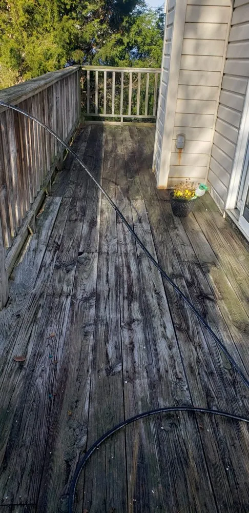 Top-rated lawn care service for residential properties in Chester, MD by Chester Landscaping and Painting Services