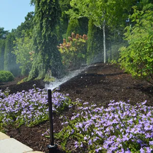 Custom yard maintenance in Chesterfield, MO - Chesterfield Valley Nursery