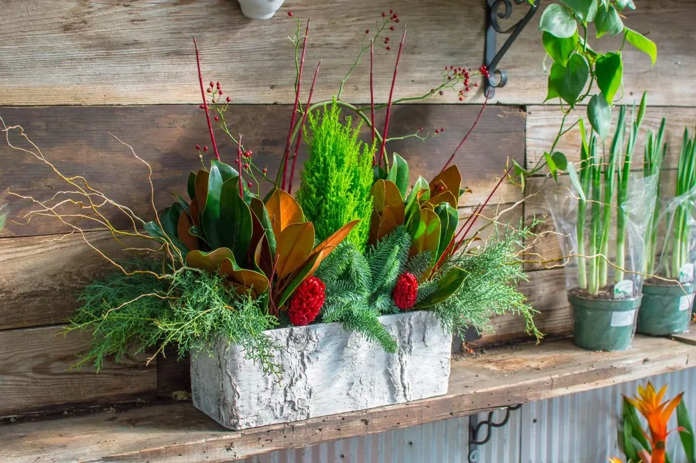 Local lawn care service in Chesterfield, MO by Chesterfield Valley Nursery