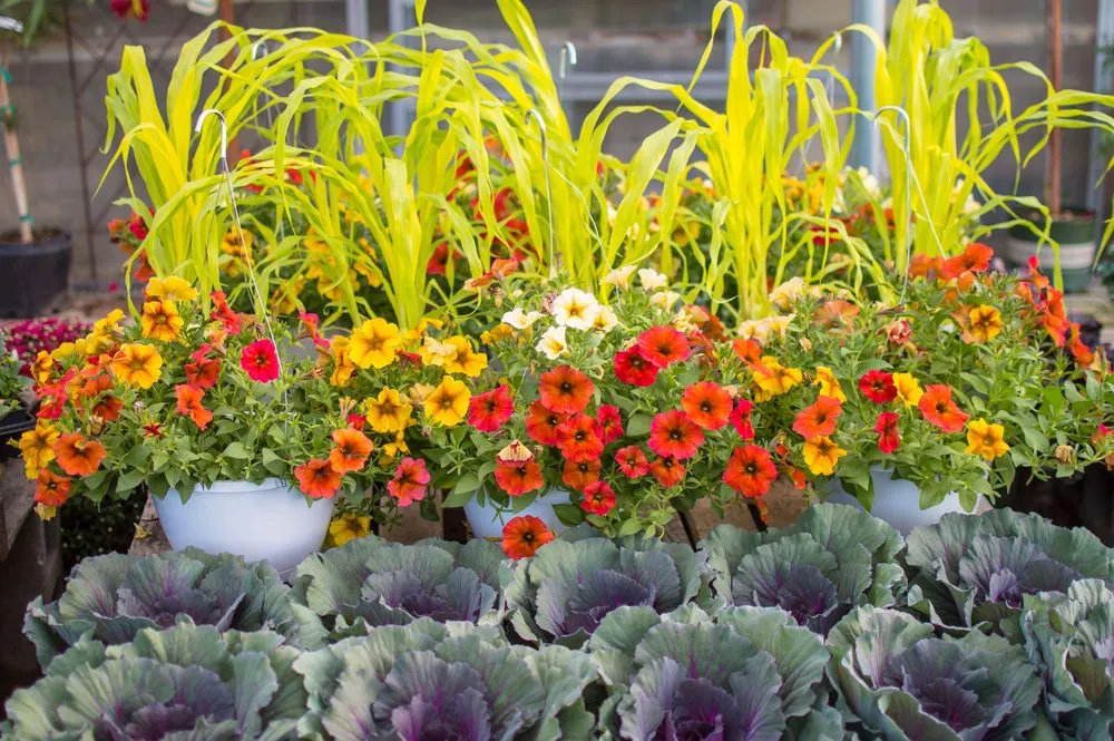 Local outdoor landscaping in Chesterfield, MO - Chesterfield Valley Nursery