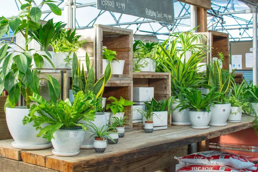 Top-rated landscape installation in Chesterfield, MO - Chesterfield Valley Nursery