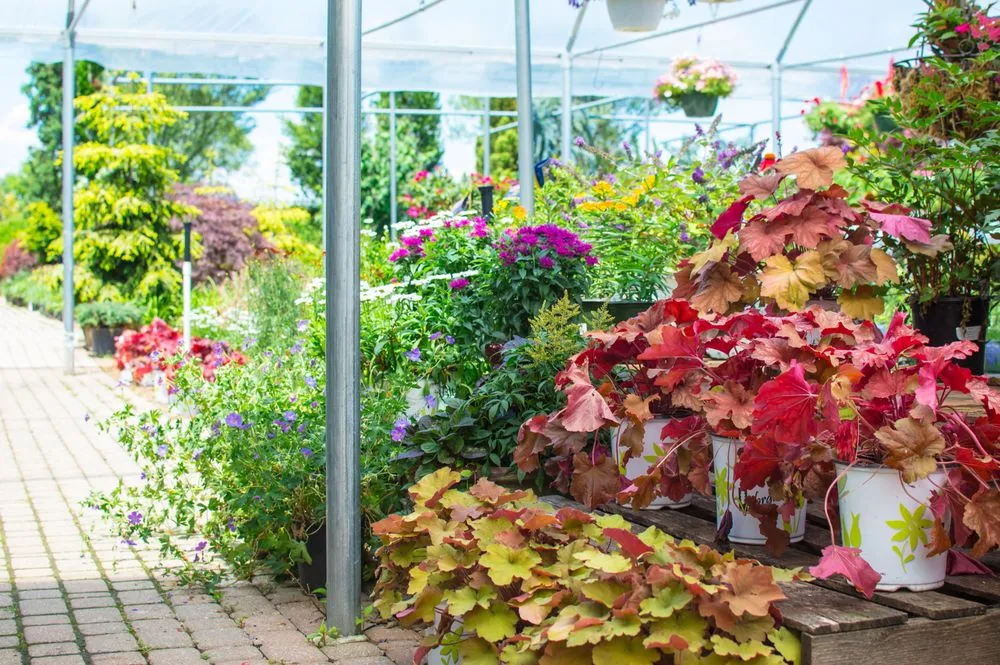 Local outdoor landscaping in Chesterfield, MO - Chesterfield Valley Nursery