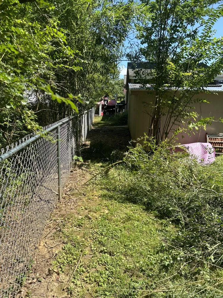 Trusted lawn mowing service experts serving Calvert City, KY - Chesters Maintenance