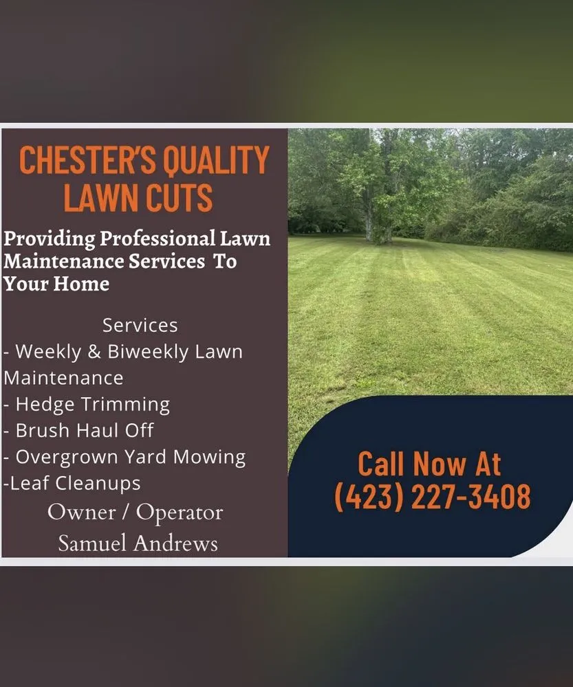 Professional yard cleanup service in Ringgold, GA by Chester’s Quality Lawn Cuts
