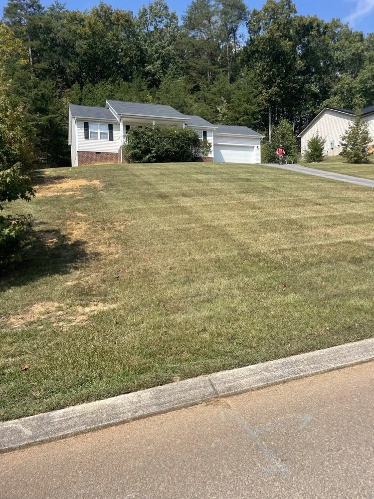 Trusted landscape installation for homes in Ringgold, GA by Chester’s Quality Lawn Cuts