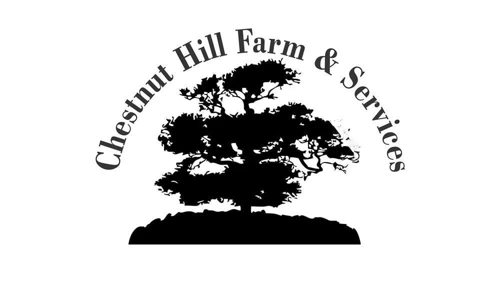 Top-rated outdoor landscaping for outdoor upgrades in Feeding Hills, MA by Chestnut Hill Farm and Services