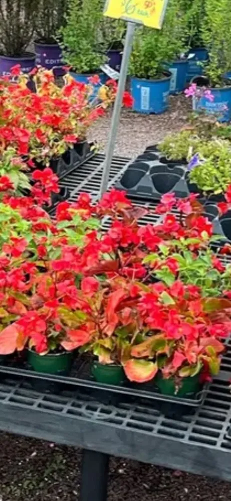 Trusted landscape installation in Brodheadsville, PA - Chestnut Hill Nursery