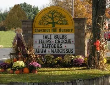 Affordable yard maintenance experts serving Brodheadsville, PA - Chestnut Hill Nursery