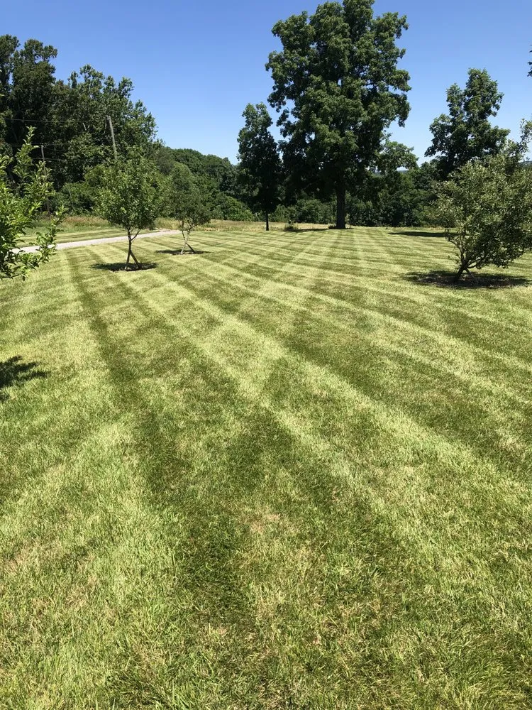 Local landscape design in Beach City, OH - Chestnut Ridge Lawn Care