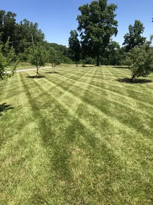 Chestnut Ridge Lawn Care Logo