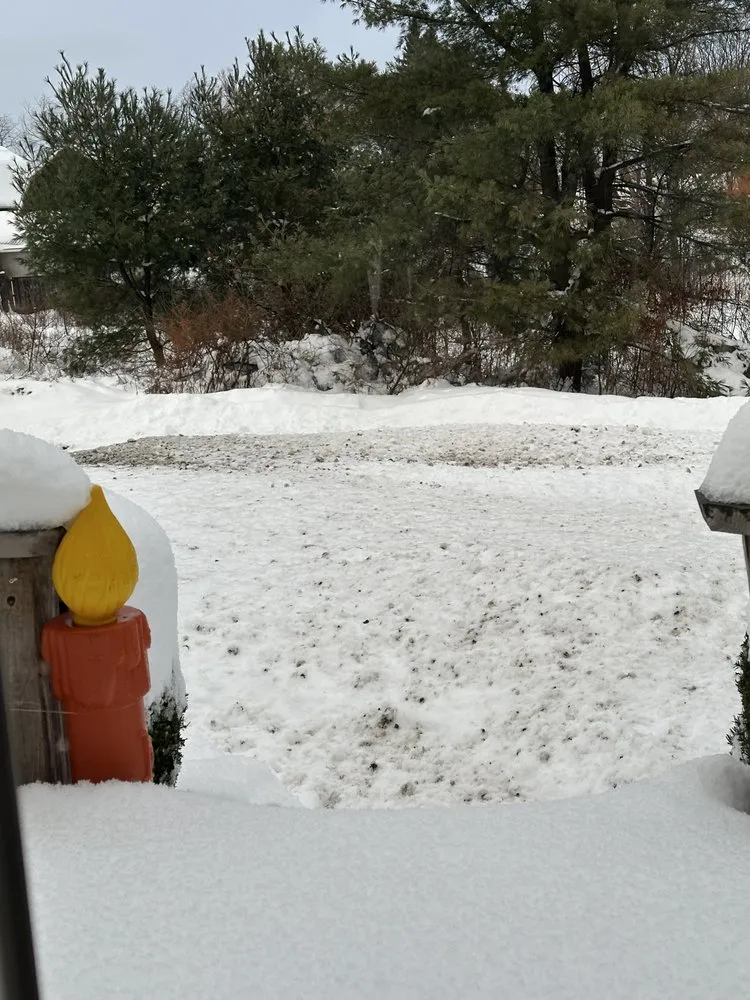 Affordable landscape design in Springville, NY by Chevalier Outdoor Living