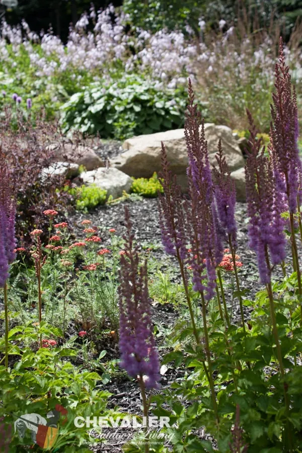 Local yard cleanup service for homes in Springville, NY by Chevalier Outdoor Living