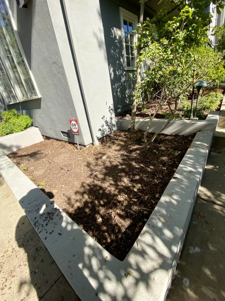 Trusted yard cleanup service in San Mateo, CA - Chevez Landscaping