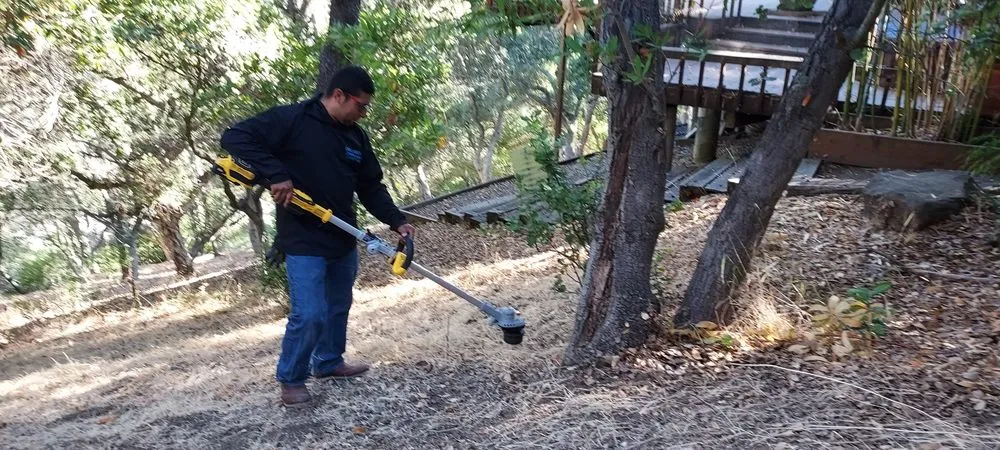 Affordable yard maintenance for beautiful yards in San Mateo, CA by Chevez Landscaping