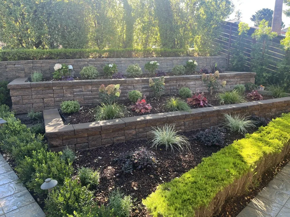 Reliable yard cleanup service for homes across San Mateo, CA - Chevez Landscaping